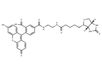 Biotin (5-fluorescein) conjugate