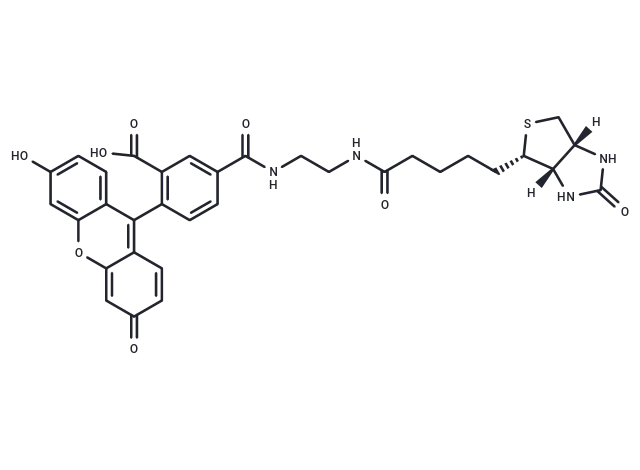 Biotin (5-fluorescein) conjugate CgoaEGd3w8SEBnT3AAAAAFX55Qk885- Immunomart