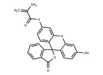 Fluorescein O-methacrylate
