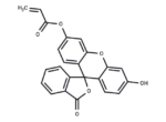 Fluorescein O-acrylate