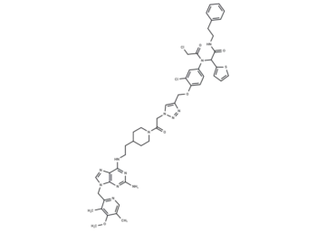 GDCNF-11