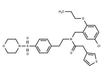 YM-I-26