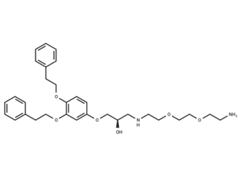 p62-ZZ Ligand-Linker Conjugate 1
