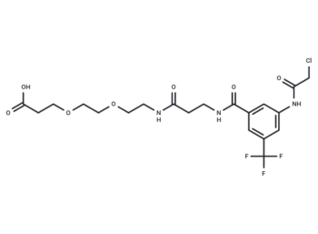 E3 Ligase Ligand-linker Conjugate 139