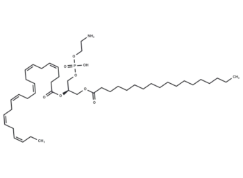 1-Stearoyl-2-Docosahexaenoyl-sn-glycero-3-PE