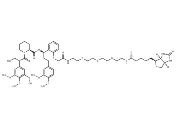 dTAG-Biotin