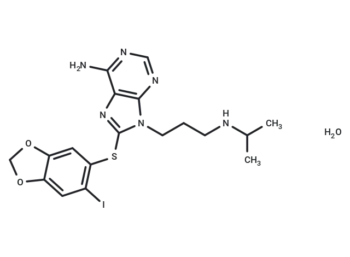 Zelavespib monohydrate