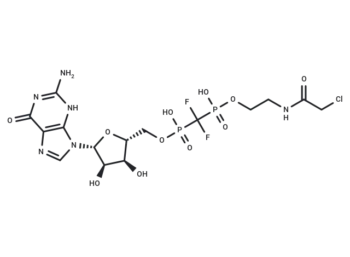XY-02-082