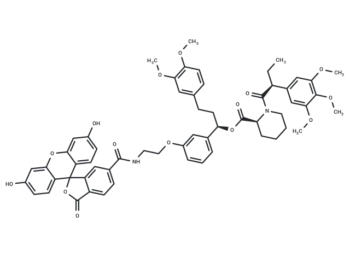 dTAG-Fluorescein