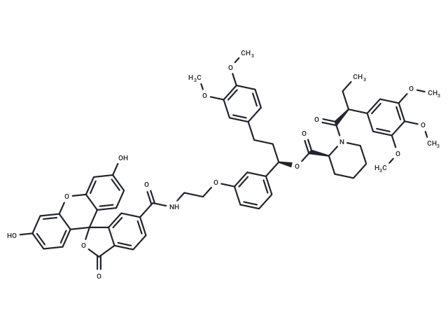 dTAG-Fluorescein