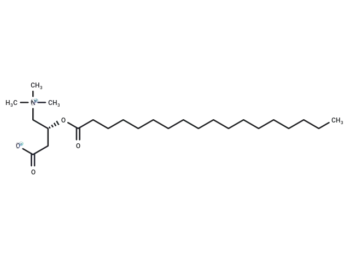 Stearoylcarnitine