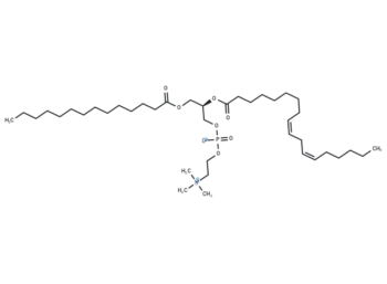 1-Myristoyl-2-Linoleoyl-sn-glycero-3-PC
