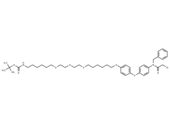 CCW16-C6-PEG3-butyl-BocNH