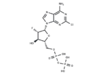 Clofarabine-5′-diphosphate