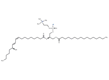1-Palmitoyl-2-13(S)-HODE-sn-glycero-3-PC