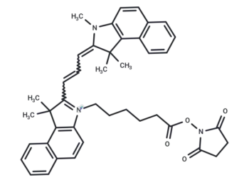 Cyamine3.5 NHS ester