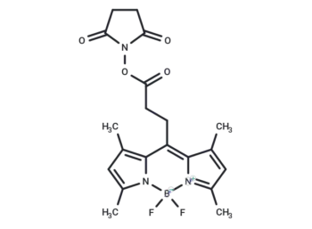 BODIPY 493/503 NHS ester