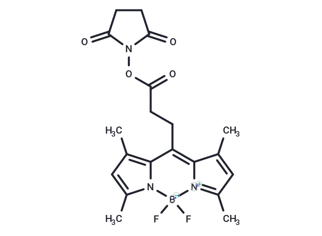 BODIPY 493/503 NHS ester - Immunomart