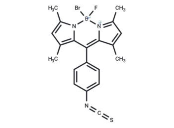 BODIPY Isothiocyanate