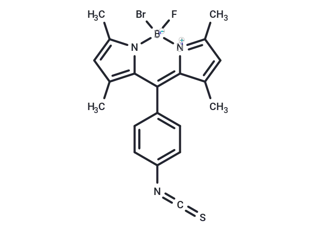BODIPY Isothiocyanate CgoaEGg4ijeEOL XAAAAAOq4eb4234- Immunomart