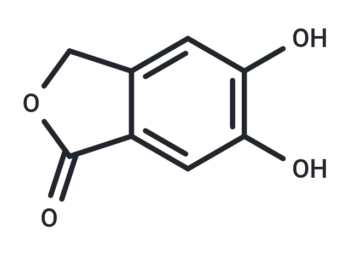 5,6-dihydroxy-1,3-dihydro-2-benzofuran-1-one