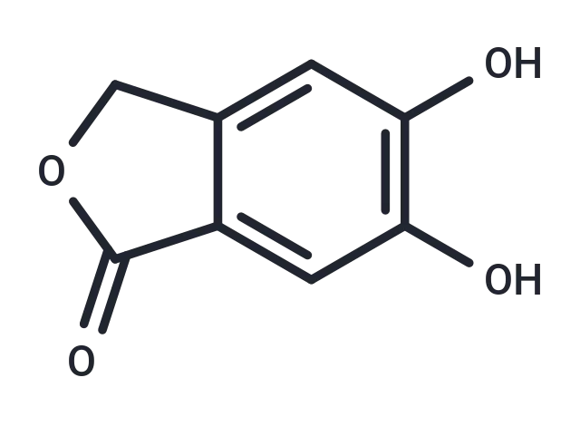 5 CgoaEGgA4DSEPaFdAAAAANgd nw305- Immunomart