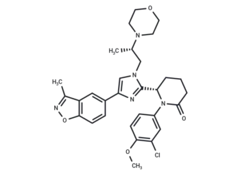Y16524