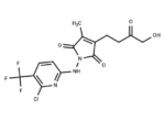 XPO1-ligand-1