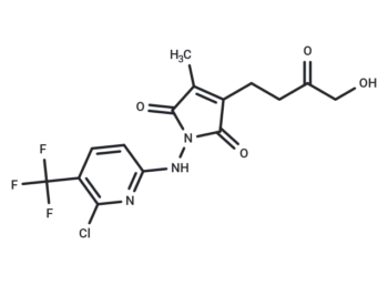XPO1-ligand-1