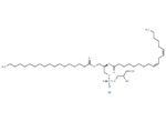 18:0-18:2 PG sodium