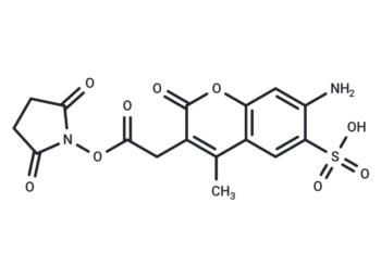 BP Fluor 350 NHS ester