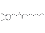N-Octanoyl dopamine