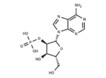 Adenosine-2′-monophosphate