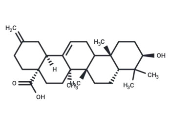 3α-Akebonoic Acid - Natural Product - Immunomart
