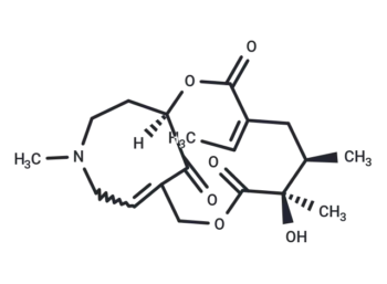 Senkirkin