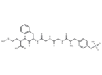 Enkephalin-met