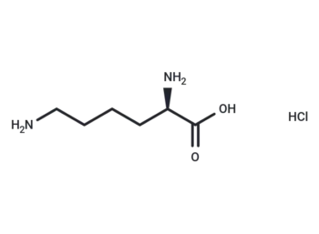 D-Lysine monohydrochloride - Peptide - Immunomart