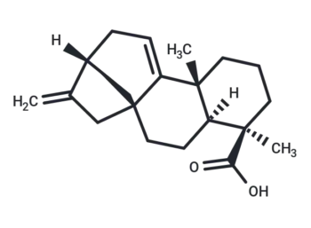 Grandiflorenic acid