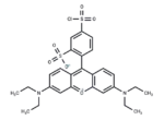 Lissamine rhodamine B sulfonyl chloride