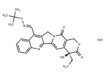 Gimatecan HCl