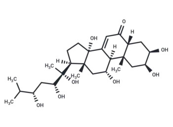 Rhapontisterone