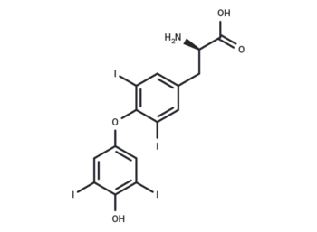 D-Thyroxine - Natural Product - Immunomart