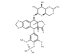 Etoposide Phosphate