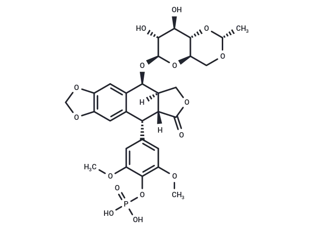 Etoposide Phosphate