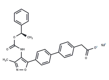 AM095