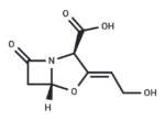 Clavulanic Acid
