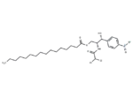 Chloramphenicol palmitate