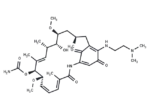 Alvespimycin
