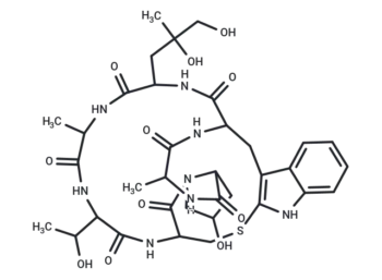 Phalloidin