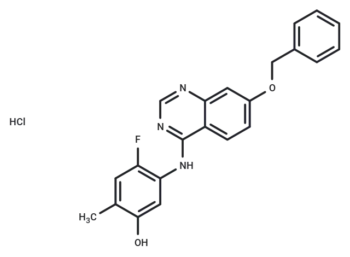 ZM323881 hydrochloride